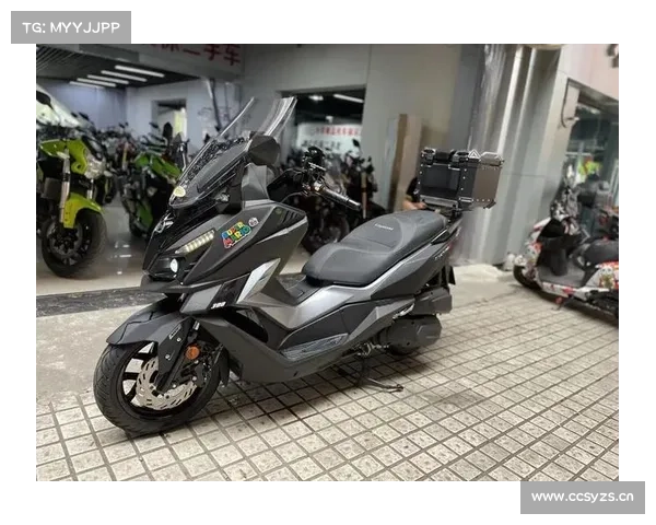 三阳巡弋CRUISYM α300舒适运动大绵羊 三阳巡弋CRUISYM α300舒适运动大绵羊