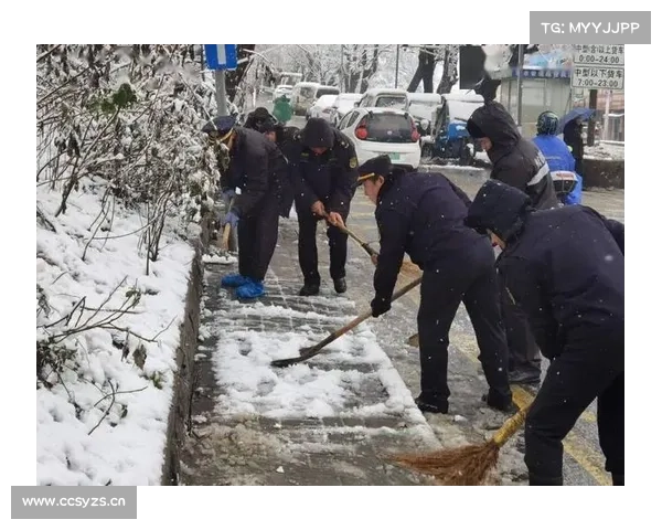 今年第一场雪悄然而至,他们闻雪而动…… 今年第一场雪悄然而至,他们闻雪而动……