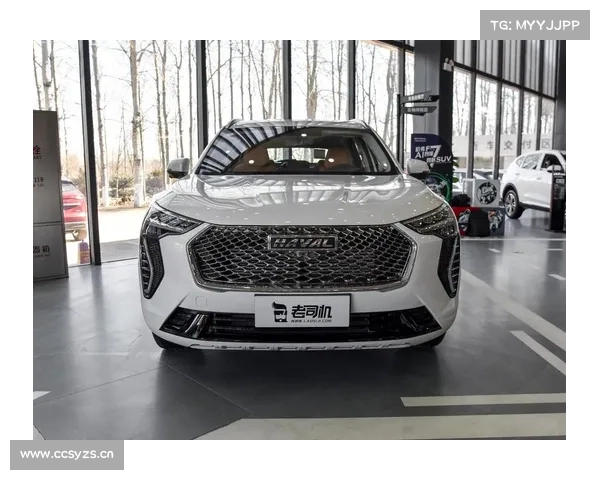 便宜省油,全新外观,国产紧凑型SUV,实拍哈弗初恋 便宜省油,全新外观,国产紧凑型SUV,实拍哈弗初恋